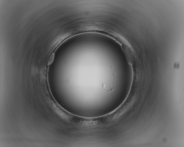 X0000095900793200801111208