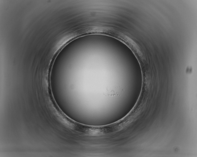X0000095900794200801111208