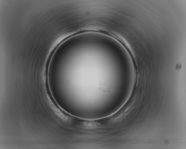 X0000095900795200801111208