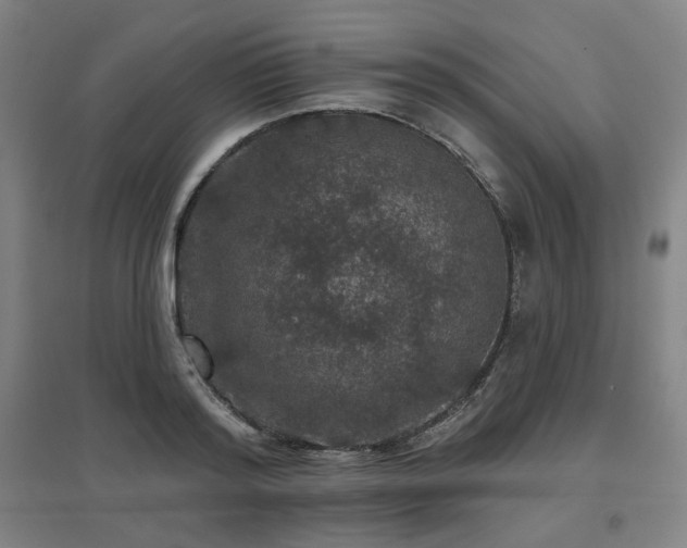 X0000095900796200801111208