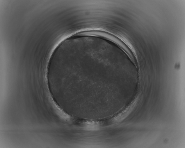 X0000095900797200801111208