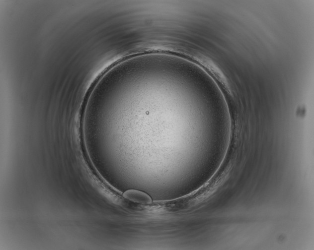 X0000095900798200801111208
