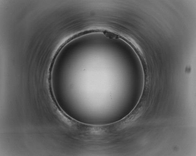X0000095900799200801111208