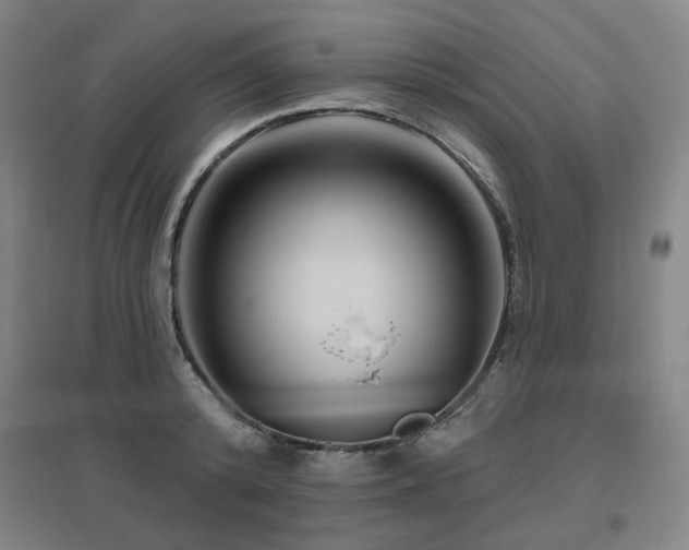 X0000095900800200801111208