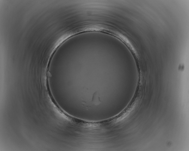 X0000095900802200801111208