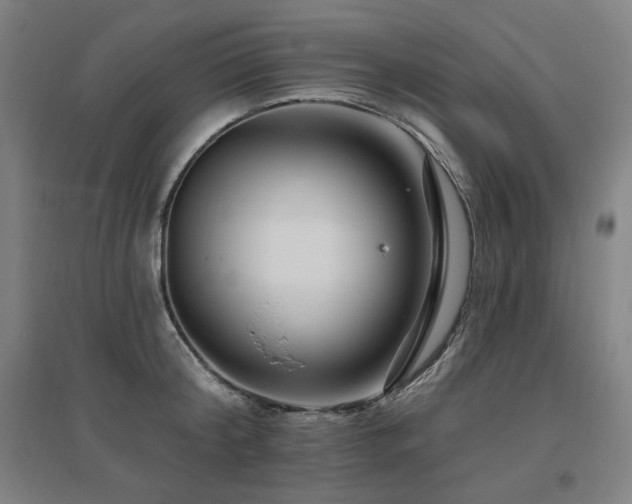 X0000095900804200801111208
