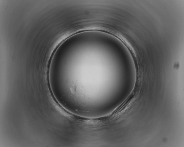 X0000095900805200801111208