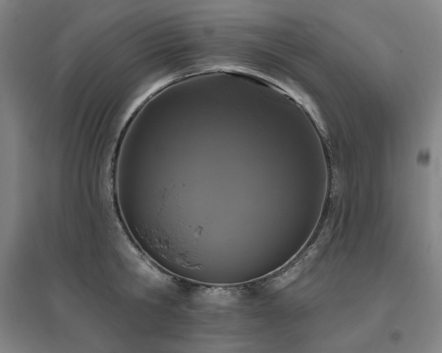 X0000095900806200801111208
