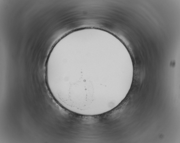 X0000095900807200801111208