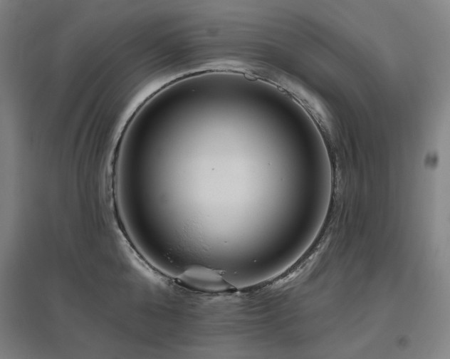 X0000095900808200801111208