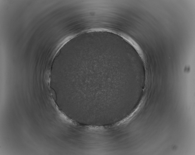 X0000095900809200801111208