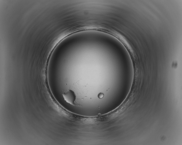 X0000095900810200801111208