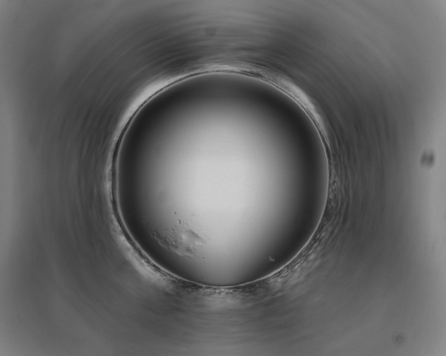 X0000095900811200801111208
