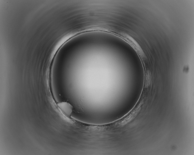 X0000095900812200801111208