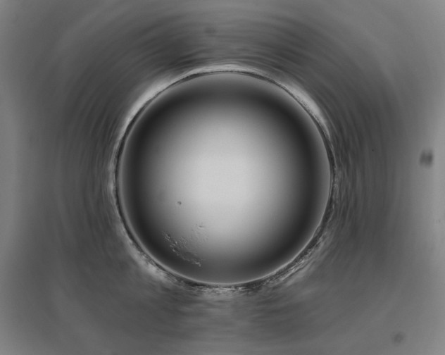 X0000095900813200801111208
