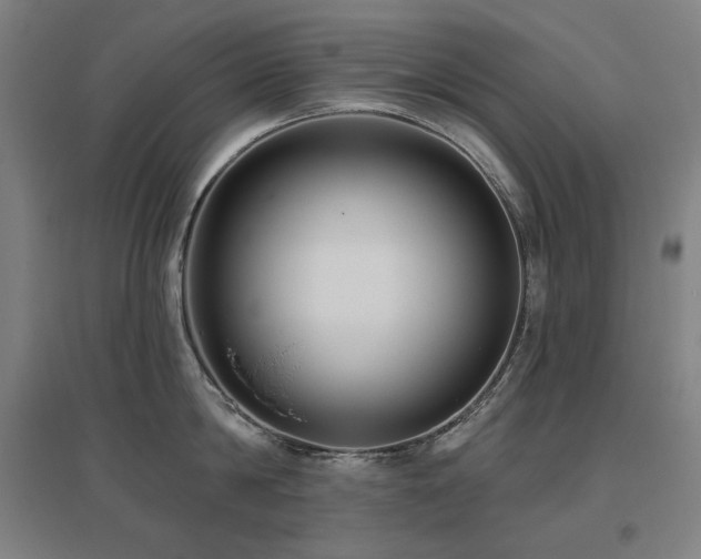X0000095900814200801111208