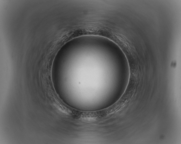 X0000095900817200801111207