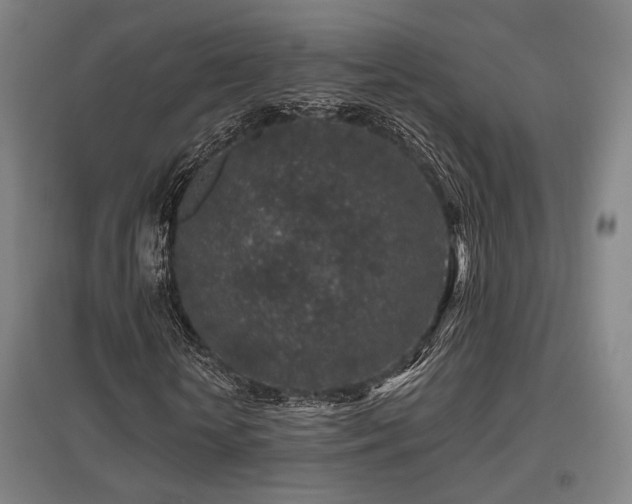 X0000095900818200801111207