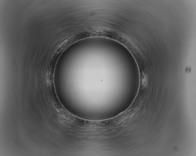 X0000095900819200801111207