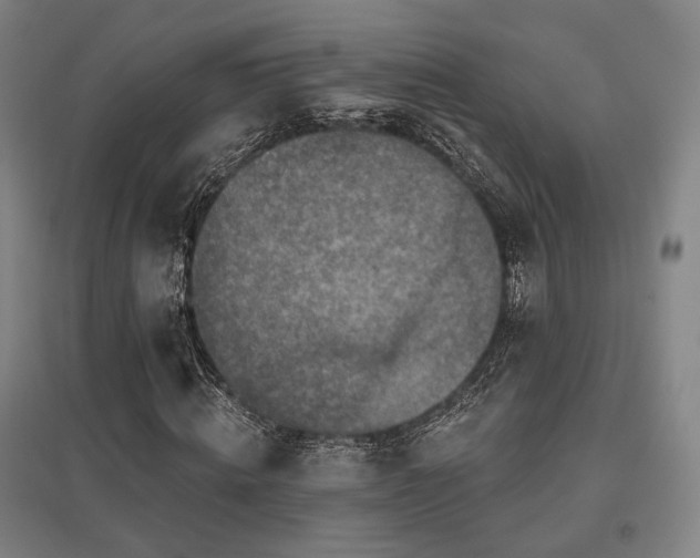 X0000095900820200801111207