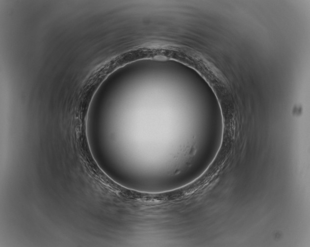 X0000095900821200801111207
