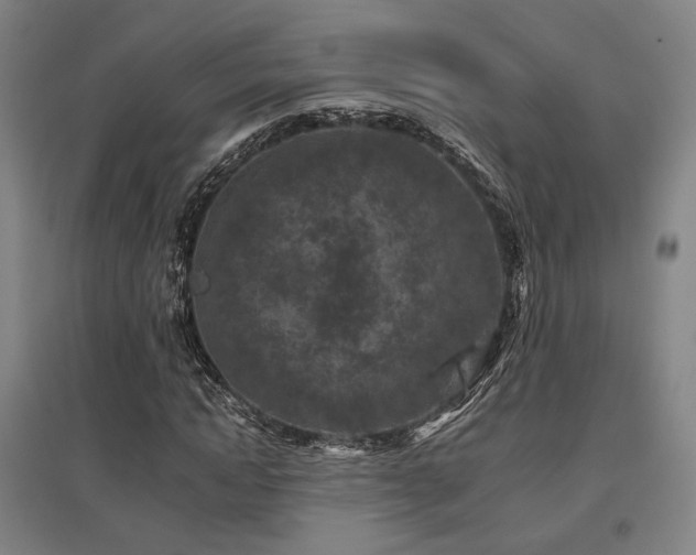 X0000095900822200801111207