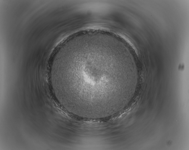 X0000095900823200801111207