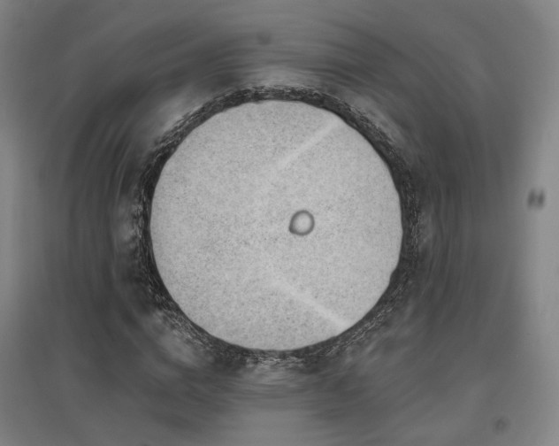 X0000095900824200801111207