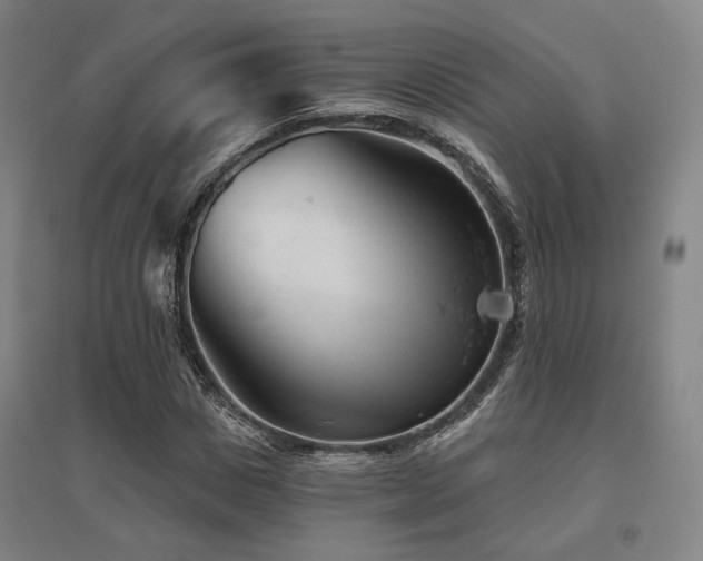 X0000095900825200801111207