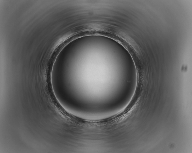 X0000095900826200801111207