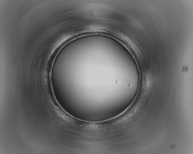 X0000095900827200801111207
