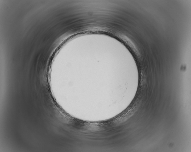 X0000095900828200801111207