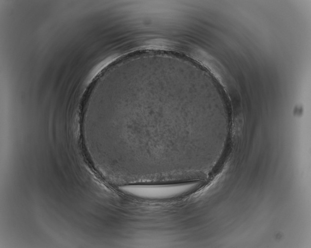 X0000095900829200801111207