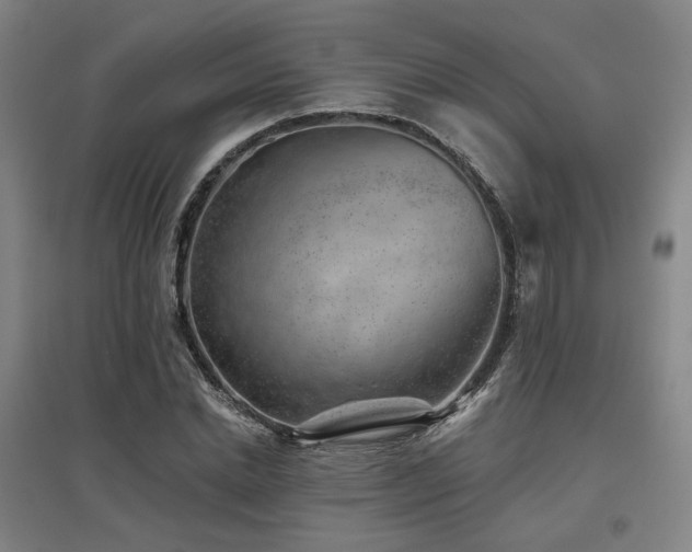 X0000095900830200801111207