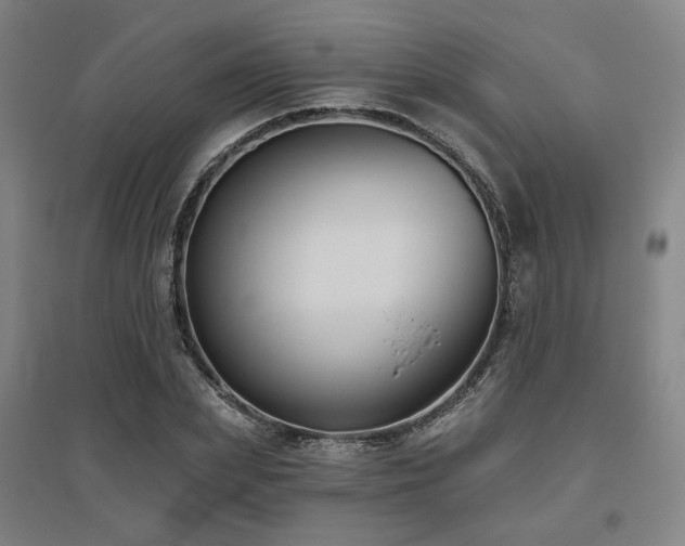 X0000095900831200801111207