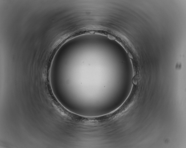 X0000095900833200801111207