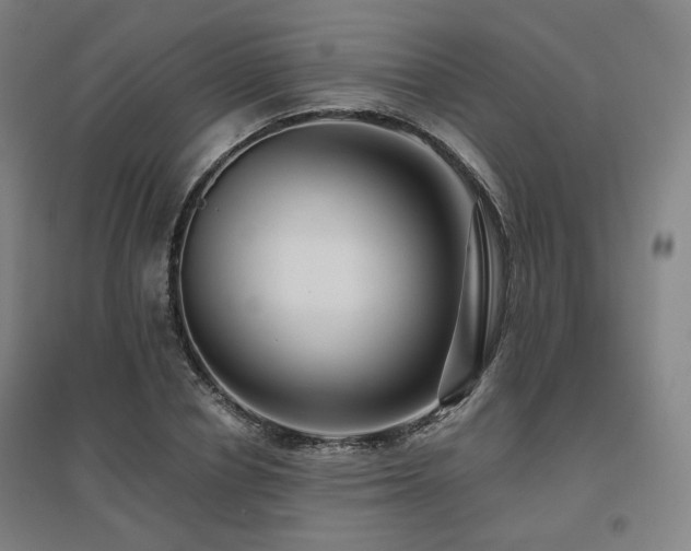 X0000095900834200801111207