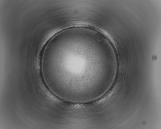 X0000095900835200801111207