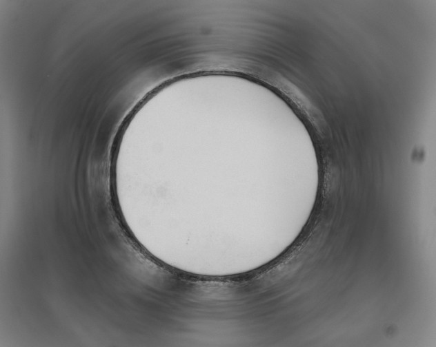 X0000095900836200801111207
