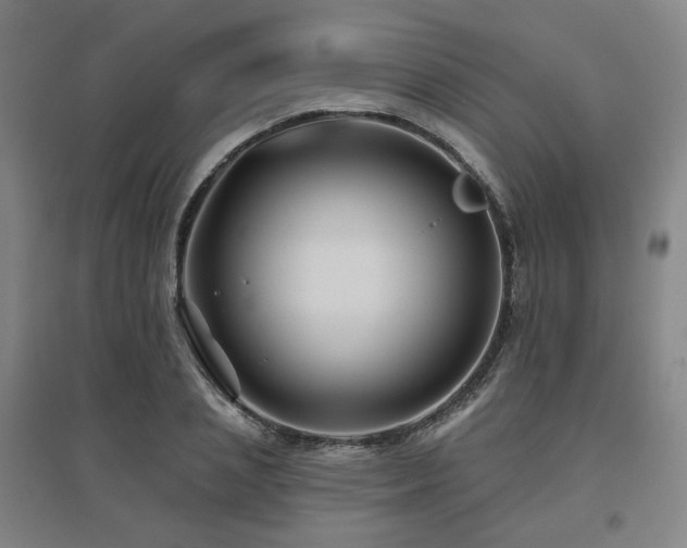 X0000095900837200801111207
