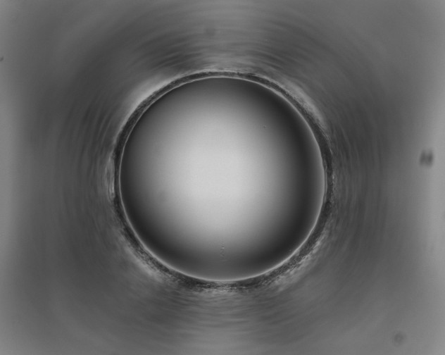 X0000095900838200801111207