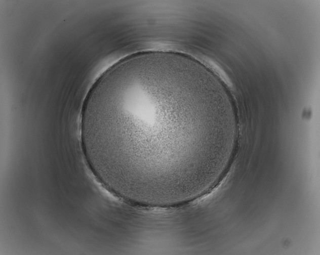 X0000095900839200801111207