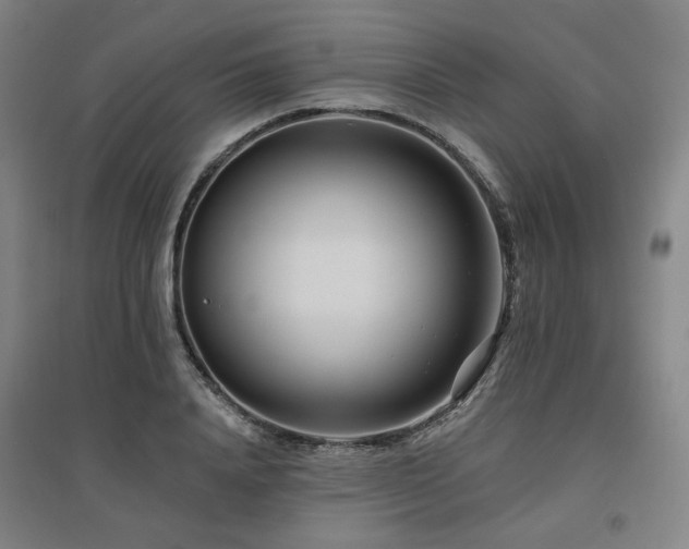 X0000095900840200801111207