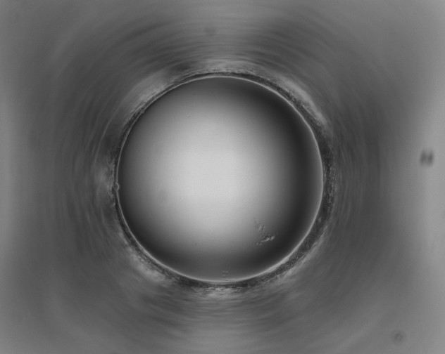 X0000095900841200801111207