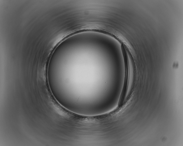X0000095900842200801111207