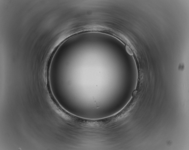 X0000095900843200801111207