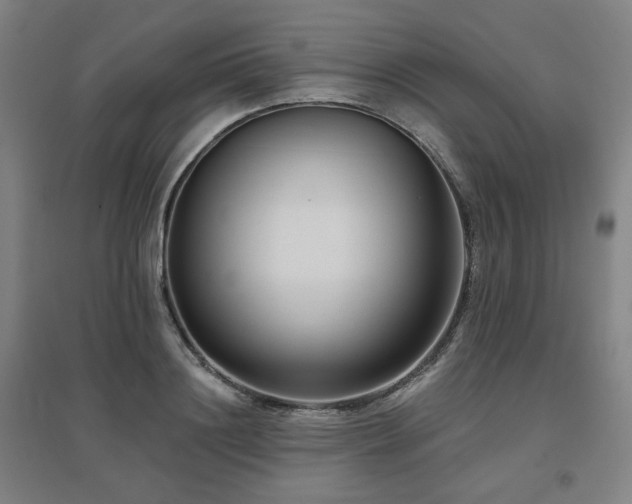 X0000095900844200801111207
