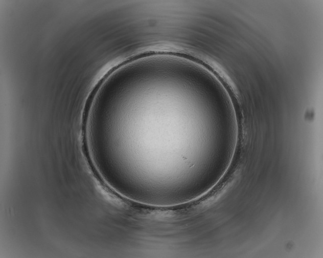 X0000095900845200801111207