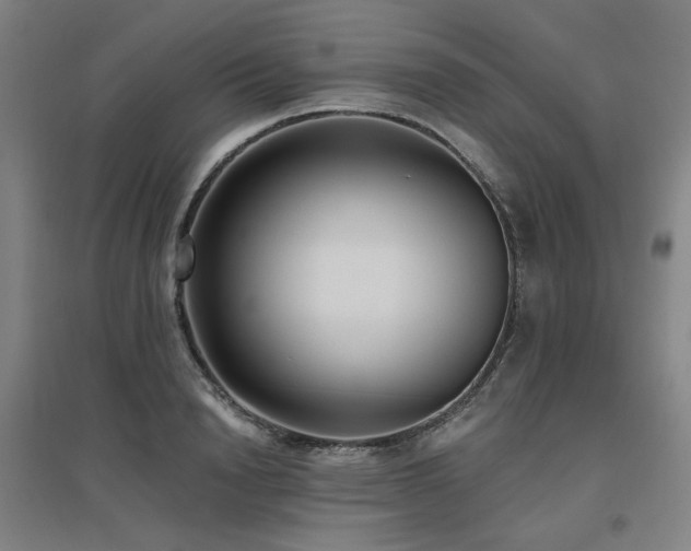 X0000095900846200801111207