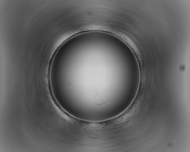 X0000095900847200801111207